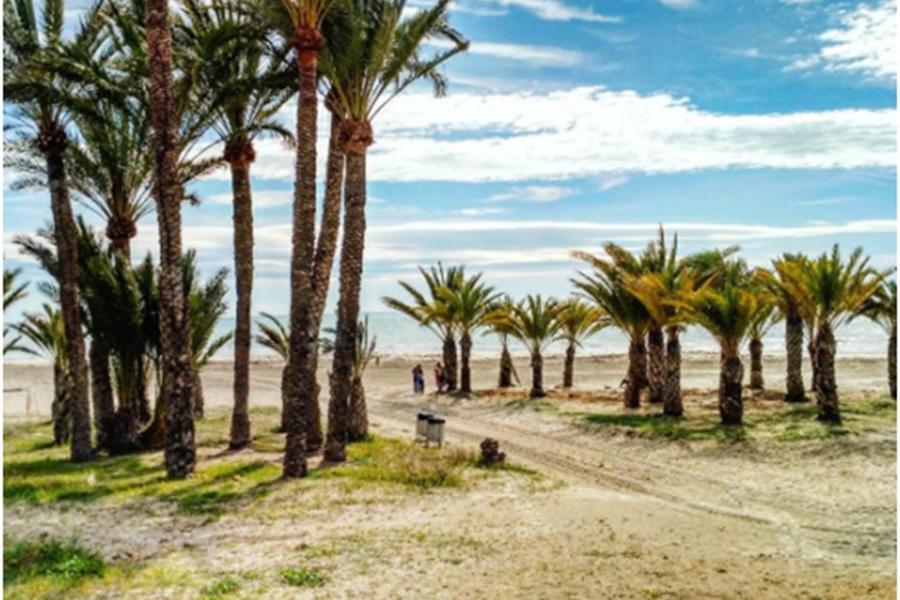Apartamentoen La Playa, 200 Mts De La Playa Nuevo Santa Pola Exterior foto